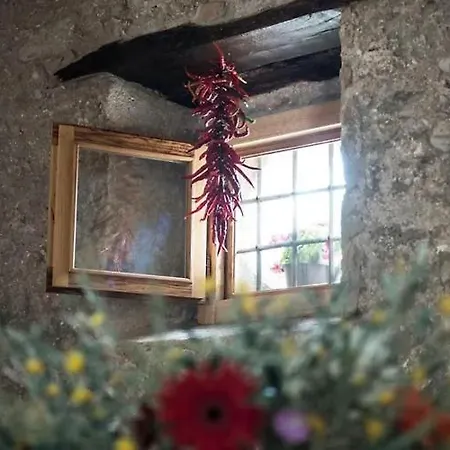 Antico Palmento *