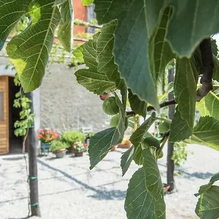 Lodge Antico Palmento